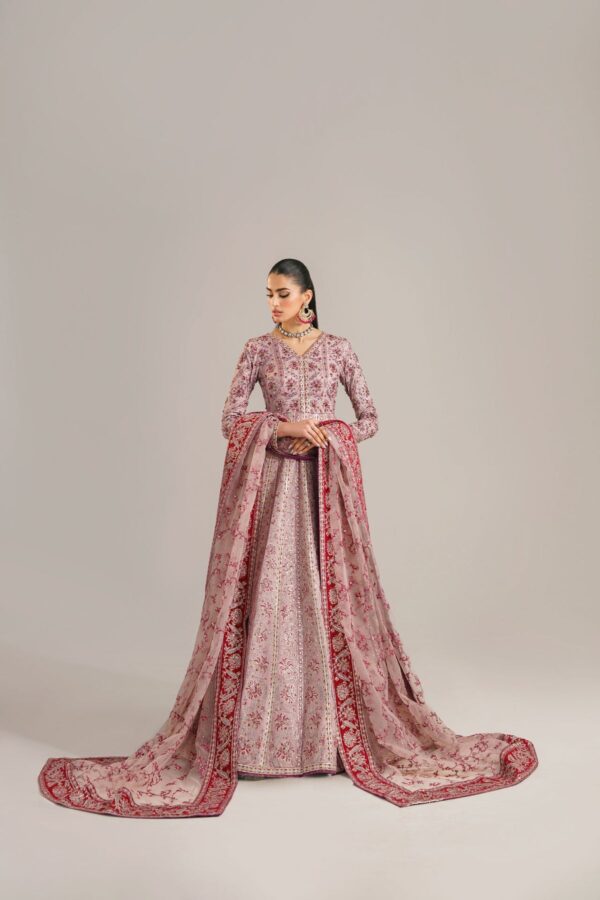 Akbar Aslam Farida Afsana Embroidered Organza