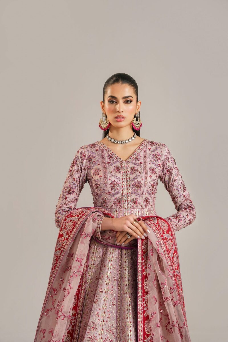 Akbar Aslam Farida Afsana Embroidered Organza