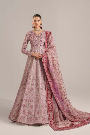 Akbar Aslam Farida Afsana Embroidered Organza