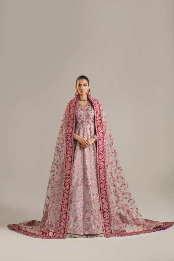 Akbar Aslam Farida Afsana Embroidered Organza