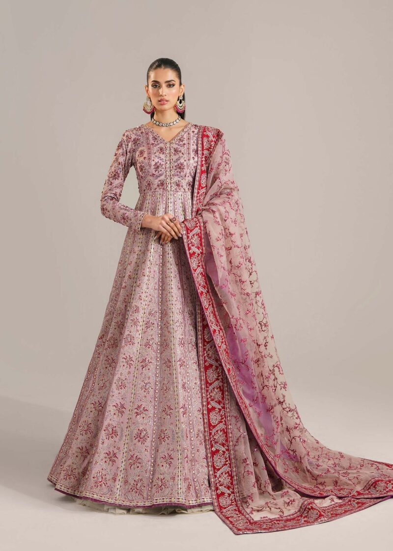 Akbar Aslam Farida Afsana Embroidered Organza