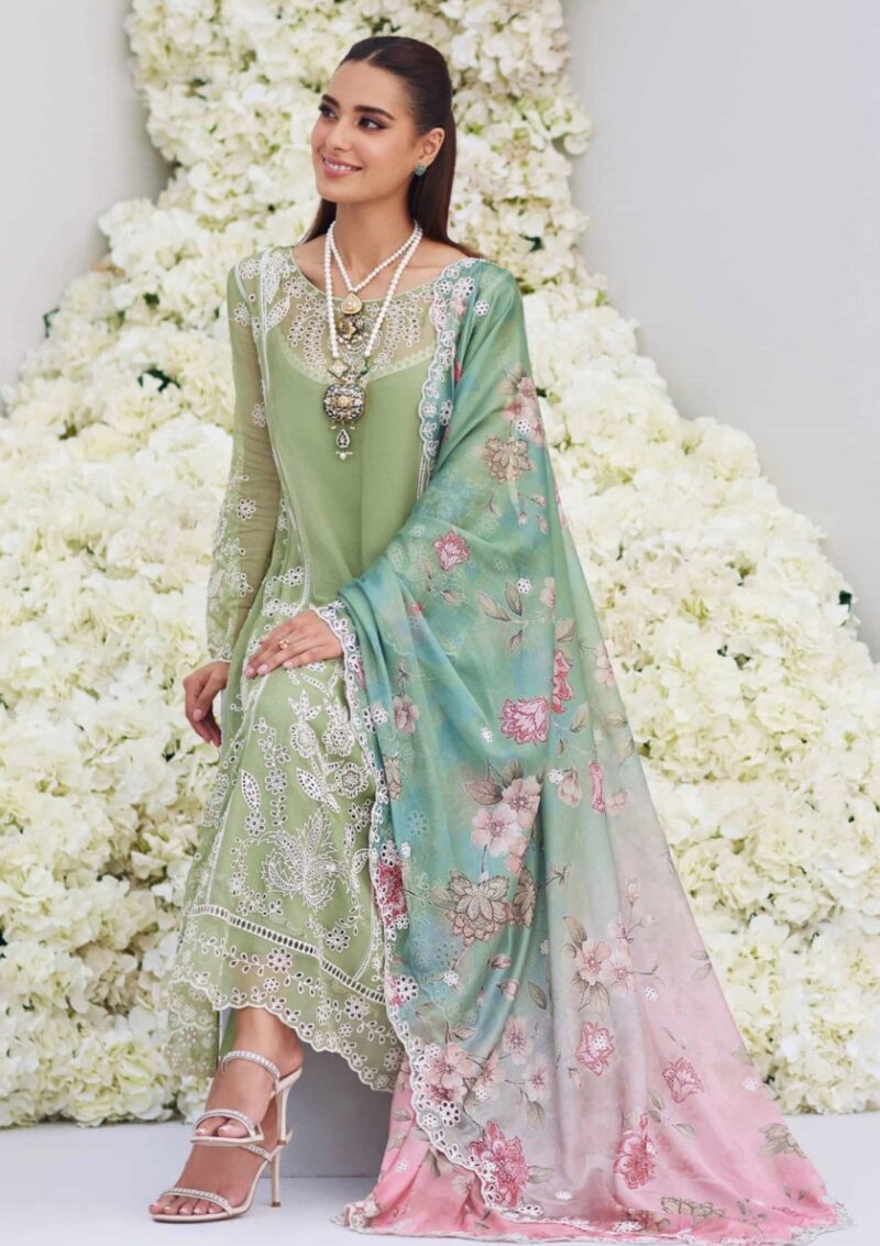 Mina Hasan Noura Formal Collection