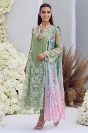 Mina Hasan Noura Formal Collection