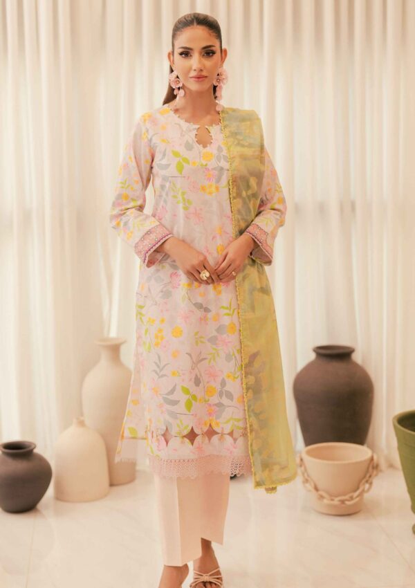 Al Zohaib Cotton Silk Alcs24 03 Winter Collection