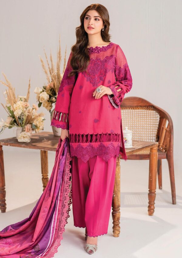 Asifa &Amp; Nabeel Volume 01 Am24 14 Winter Collection