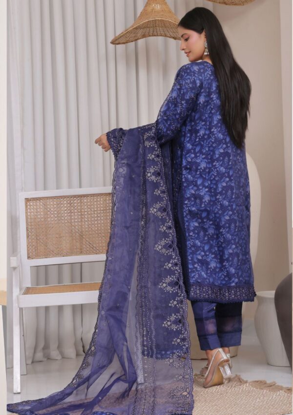 Dressline Fatima Bano Dh24 164 B Formal Collection