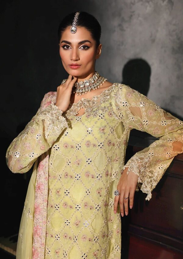 Raj Bari Art24 05 Ivy Formal Collection