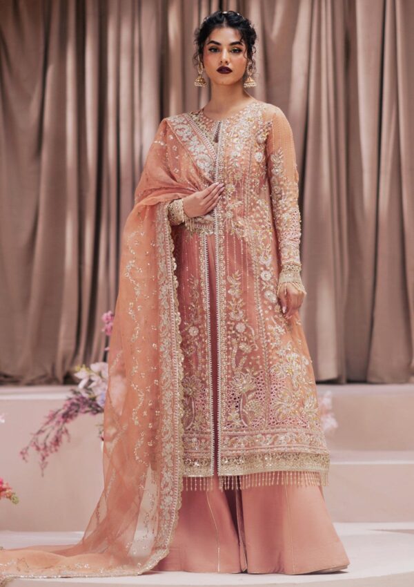 Zarposh Festive Barkha Formal Collection