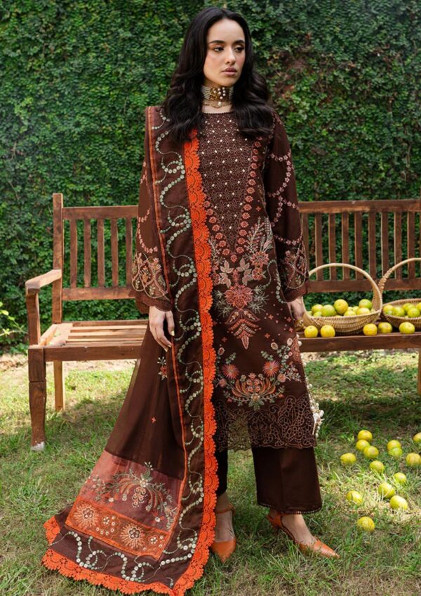 Marjjan Mrk 03 B Brown Winter Collection