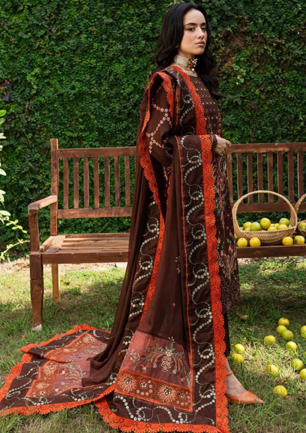 Marjjan Mrk 03 B Brown Winter Collection