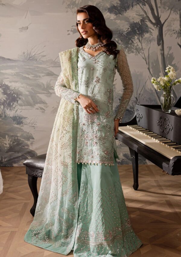 Nureh Unstitched 24 Ne 57 Formal Collection