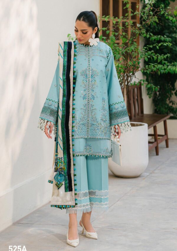 Bin Ilyas Bio24 525 A Winter Collection