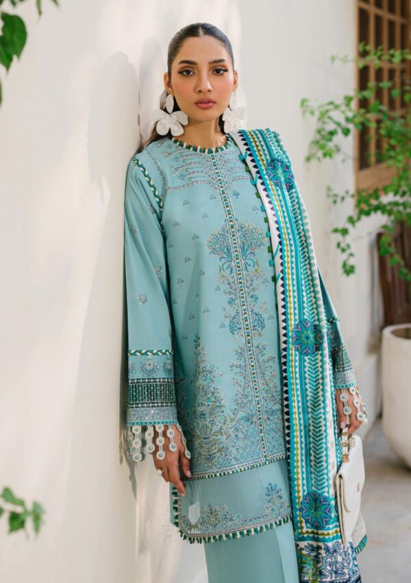 Bin Ilyas Bio24 525 A Winter Collection