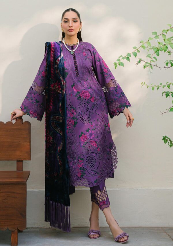 Bin Ilyas Bio24 526 A Winter Collection