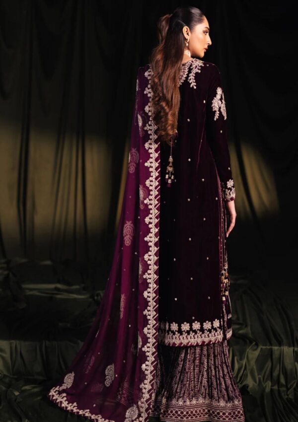 Qalamkar Qv24 01 Amani Winter Collection