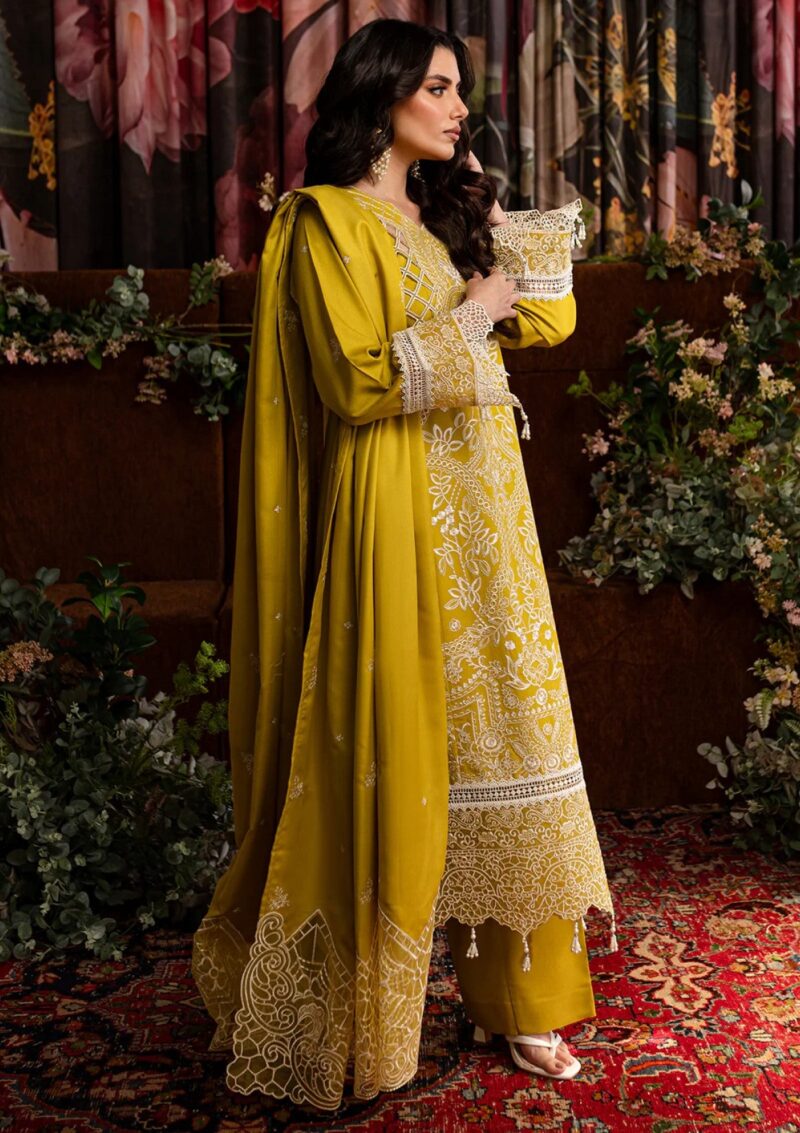 Mahnur Luxury Karandi Mvl24 06 Winter Collection