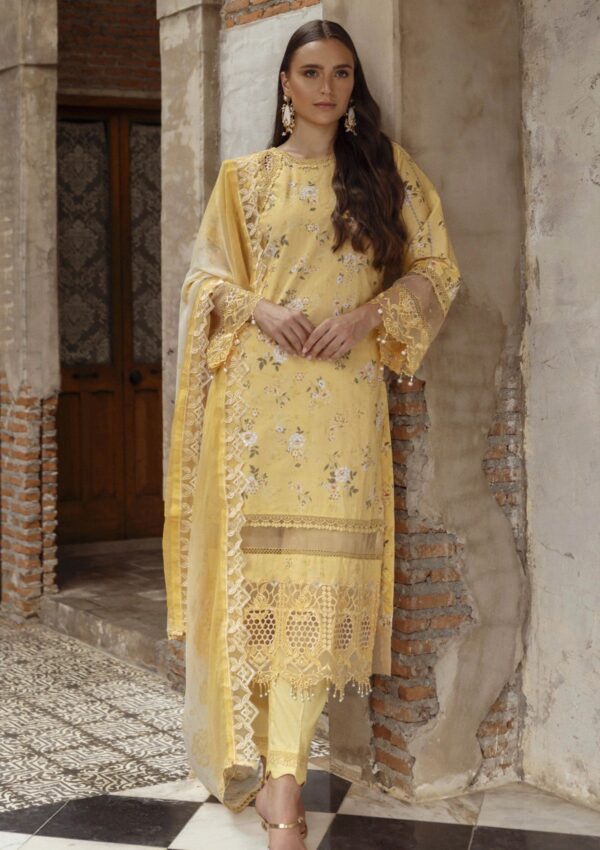 Al Zohaib Alsb24 02 Winter Collection