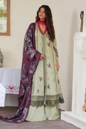 Iznik Ipk24 12 Winter Collection