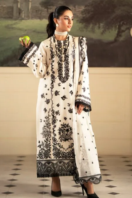 Saad Shaikh Ssl24 05 Stellaire