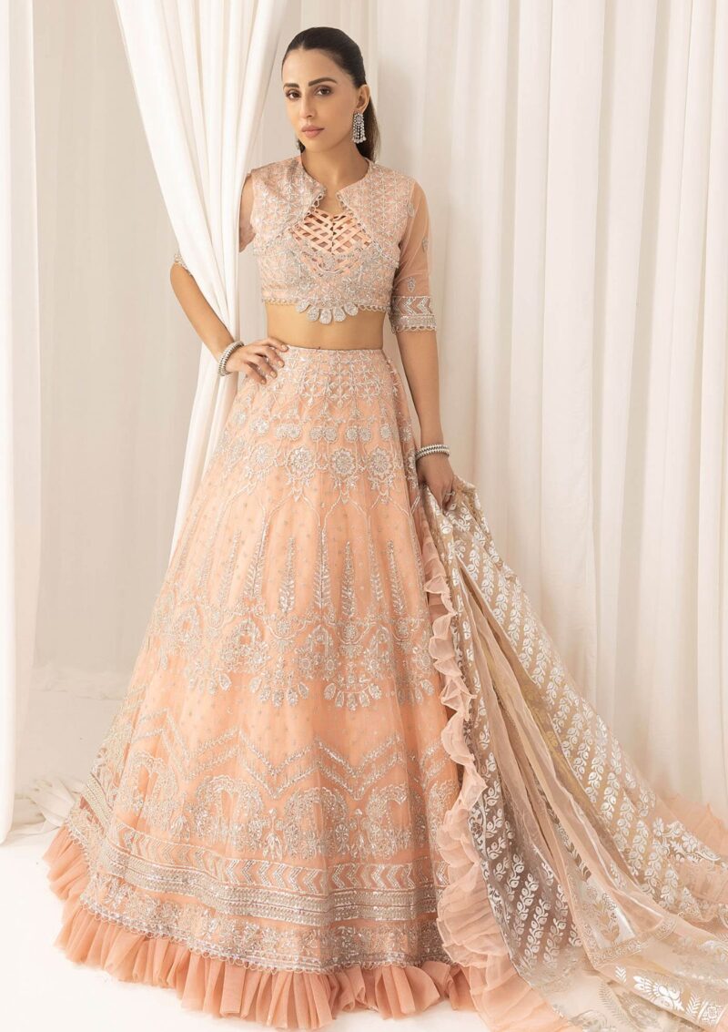 Asifa & Nabeel Festive Anb 6 Formal Collection