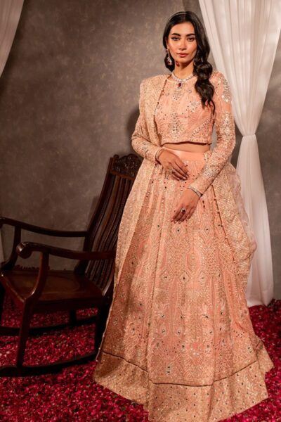 Maria Osama Khan Ds 04 Roshan Formal Collection