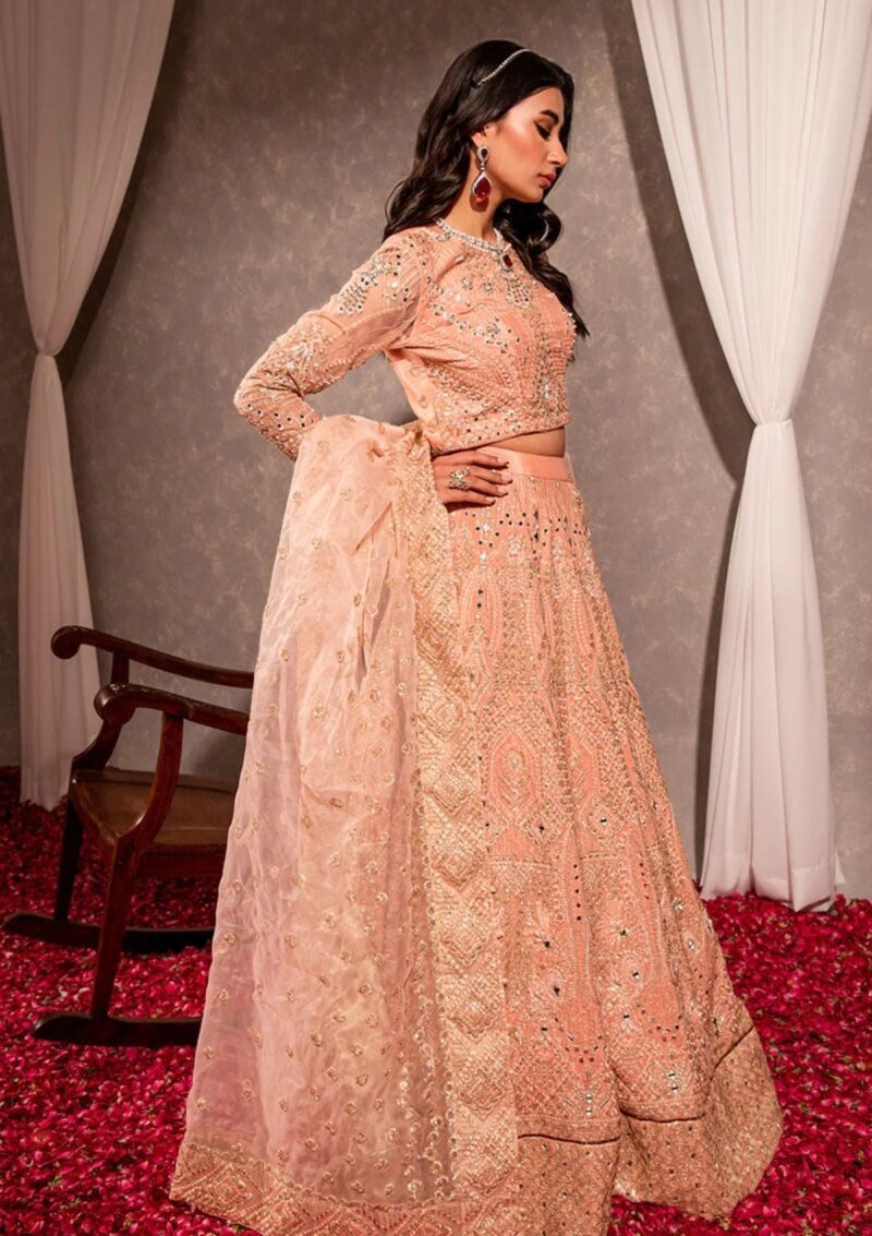 Maria Osama Khan Ds 04 Roshan Formal Collection