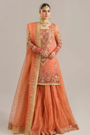 Akbar Aslam Asa24 1533 Begum Bano Formal Collection