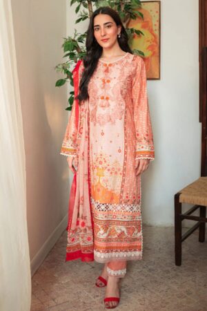 Roheenaz Rs24 02 B Ezra Winter Collection