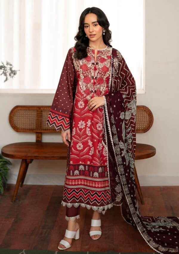 Roheenaz Rs24 01 B Nova Winter Collection