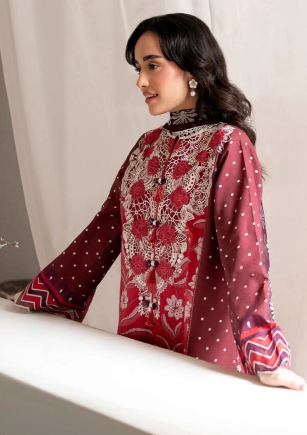 Roheenaz Rs24 01 B Nova Winter Collection