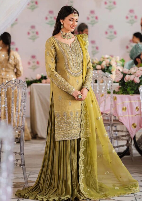 Akbar Aslam Aas24 1506 Meharzad Formal Collection