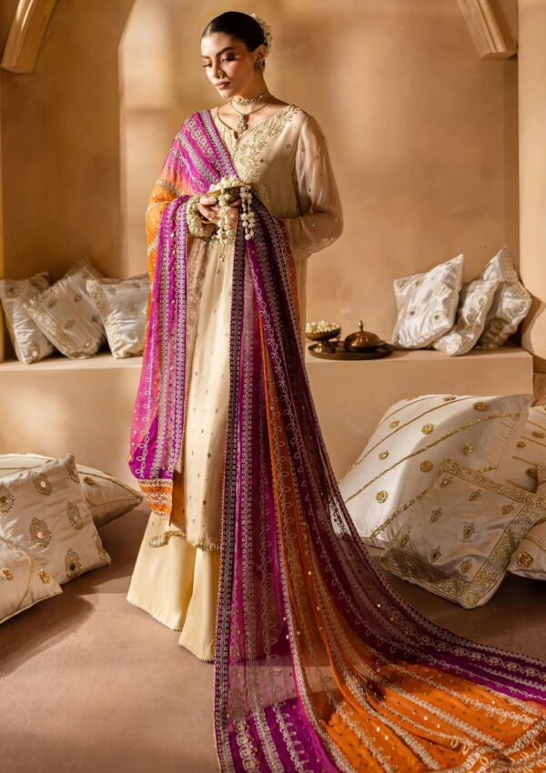 Nureh Chiffon Nmc24 02 Formal Collection