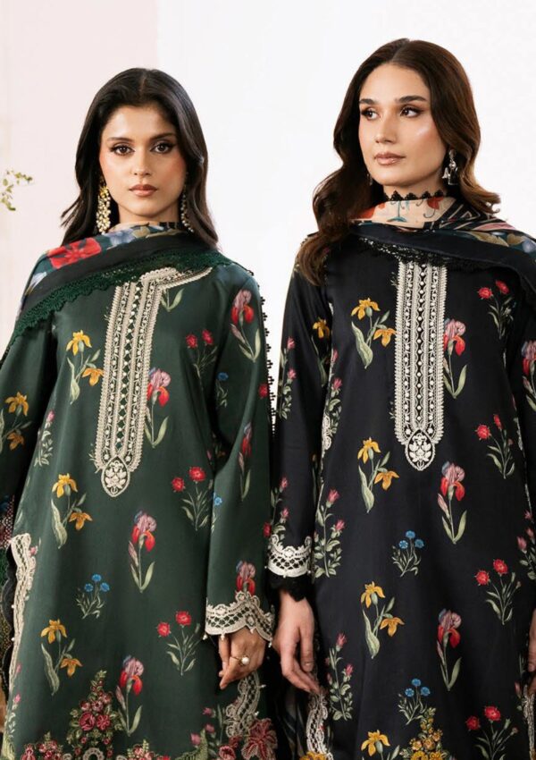 Bin Ilyas Bnv24 77 B Winter Collection