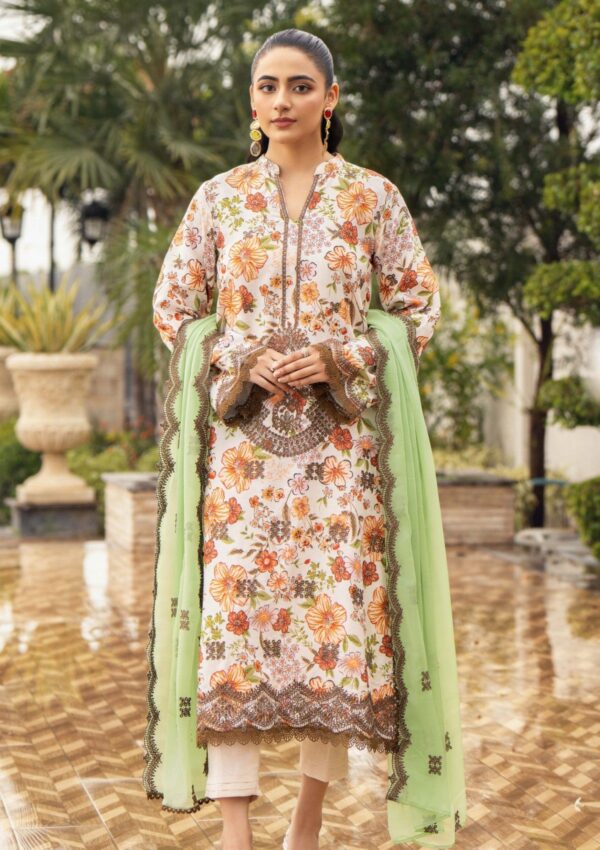 Humdum D 10 Winter Collection