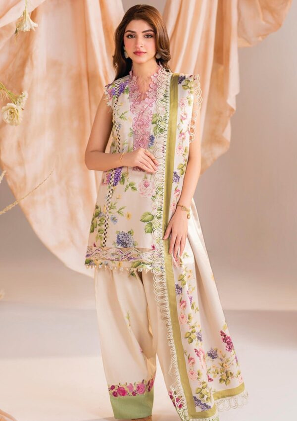 Asifa & Nabeel Am 01 Aura Meraki Volume 15 Winter Collection