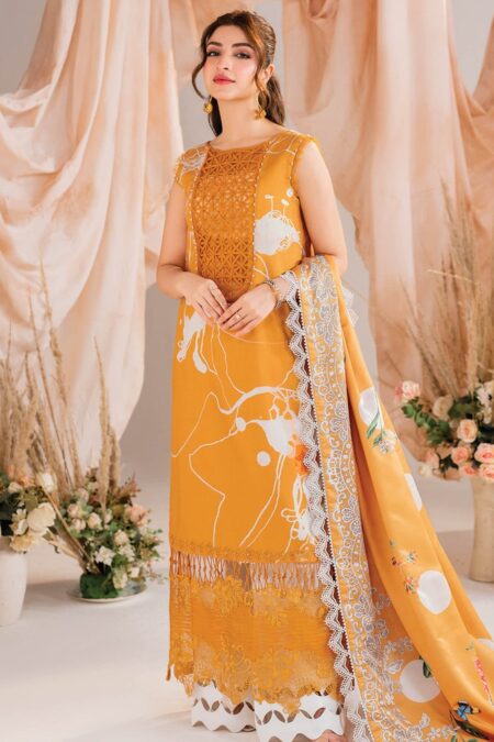 Asifa Nabeel Am 08 Solstice Meraki