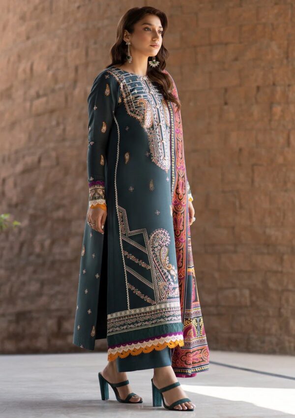 Bin Ilyas Bupr 1913 A Unstitched Winter Collection