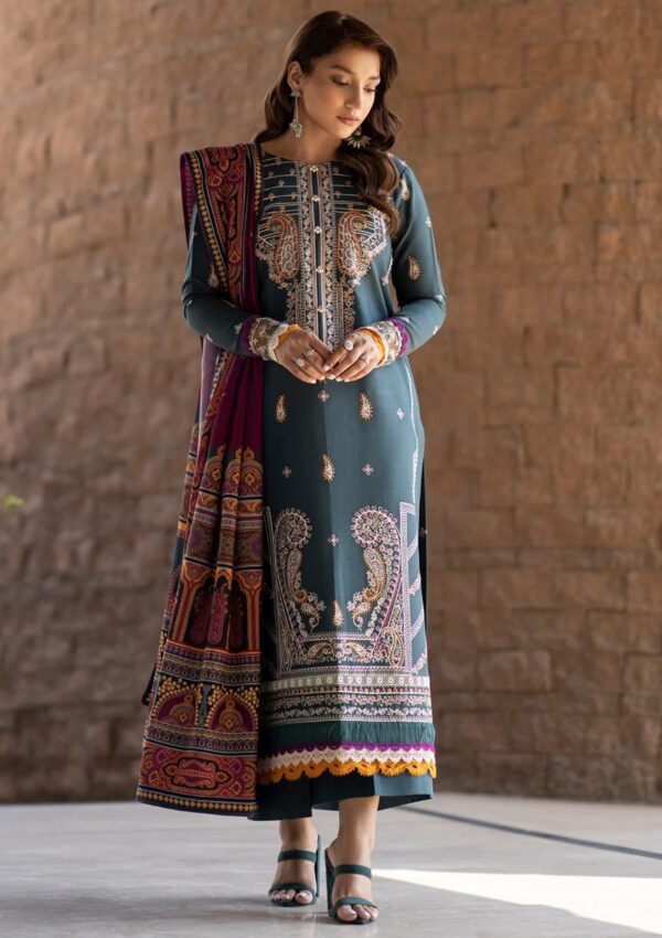 Bin Ilyas Bupr 1913 A Unstitched Winter Collection