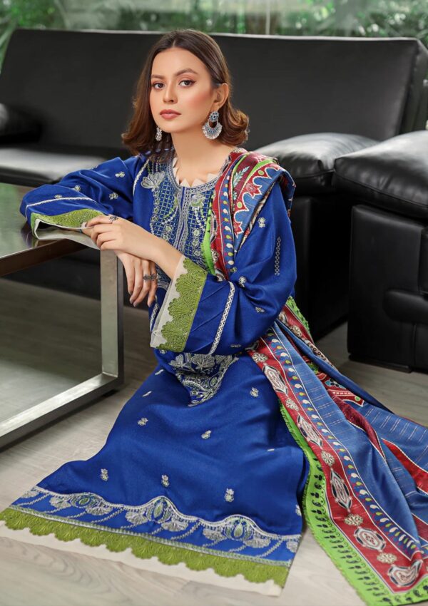 Bin Ilyas Bupr 755A Unstitched Winter Collection