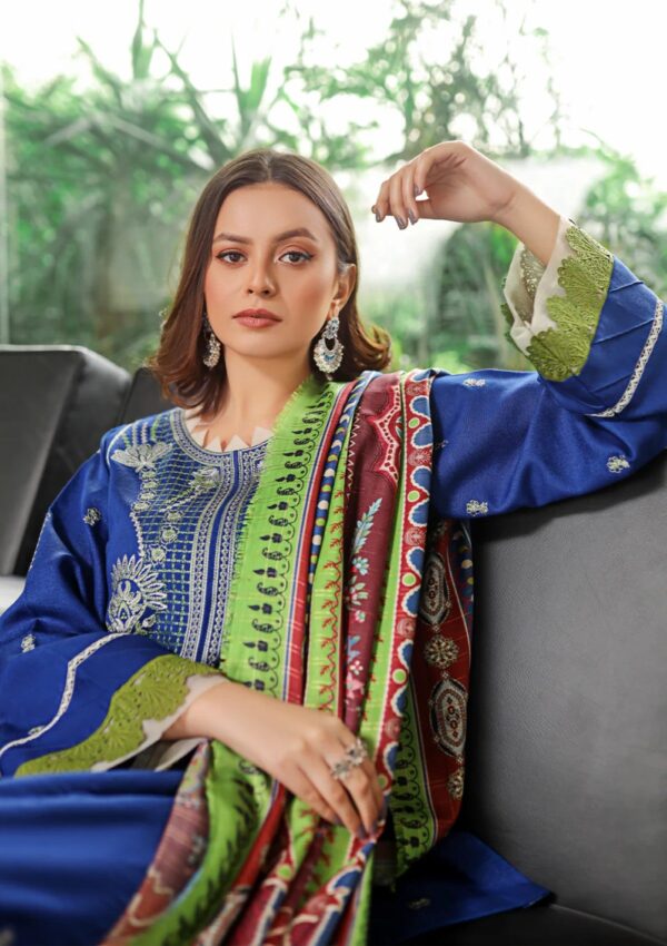 Bin Ilyas Bupr 755A Unstitched Winter Collection