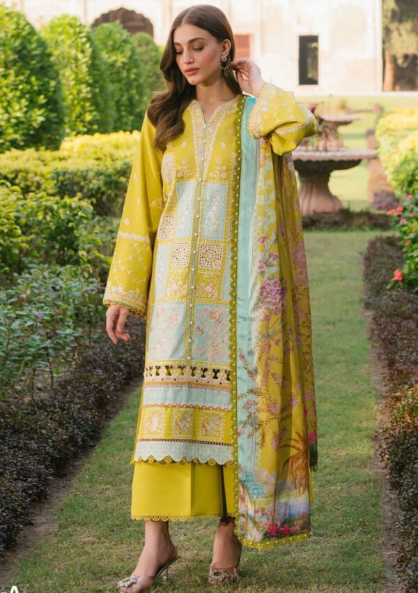 Bin Ilyas Gulabi Baagh Bi Gb 153a Winter Collection