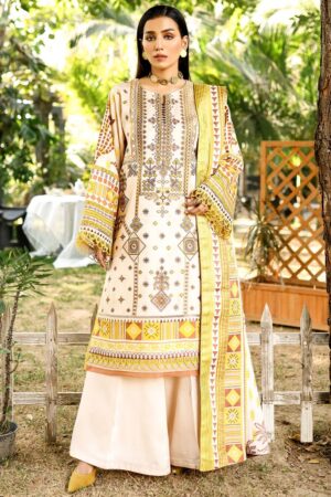 Bin Ilyas Maya Jahan D 761 A Winter Collection