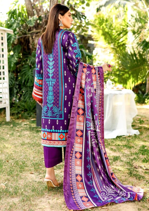 Bin Ilyas Maya Jahan D 761 B Winter Collection