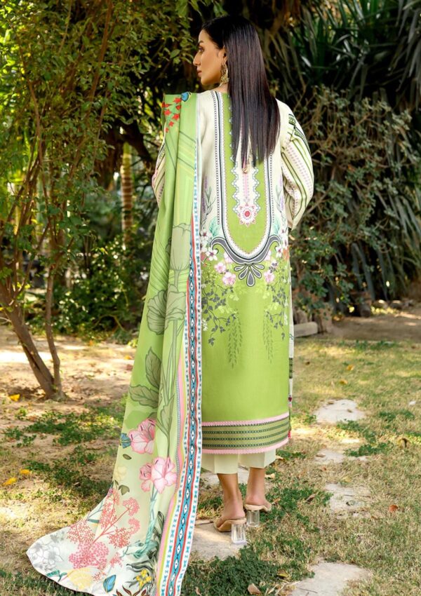 Bin Ilyas Maya Jahan D 762 A Winter Collection