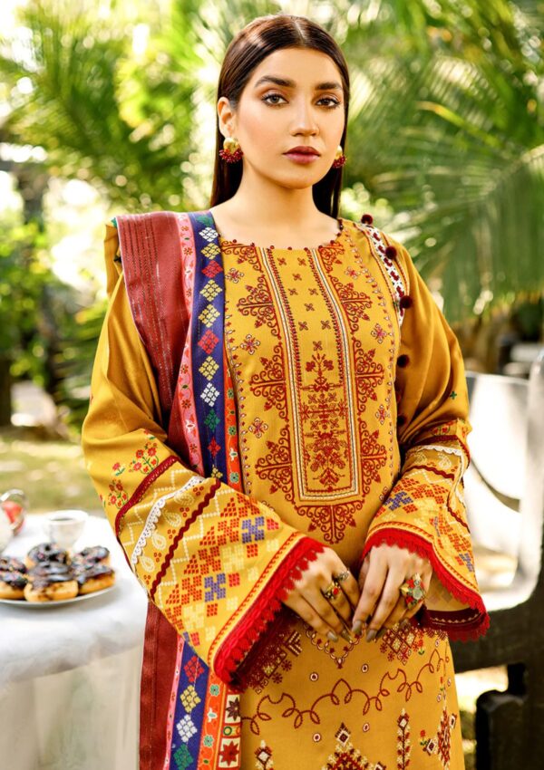 Bin Ilyas Maya Jahan D 763 A Winter Collection