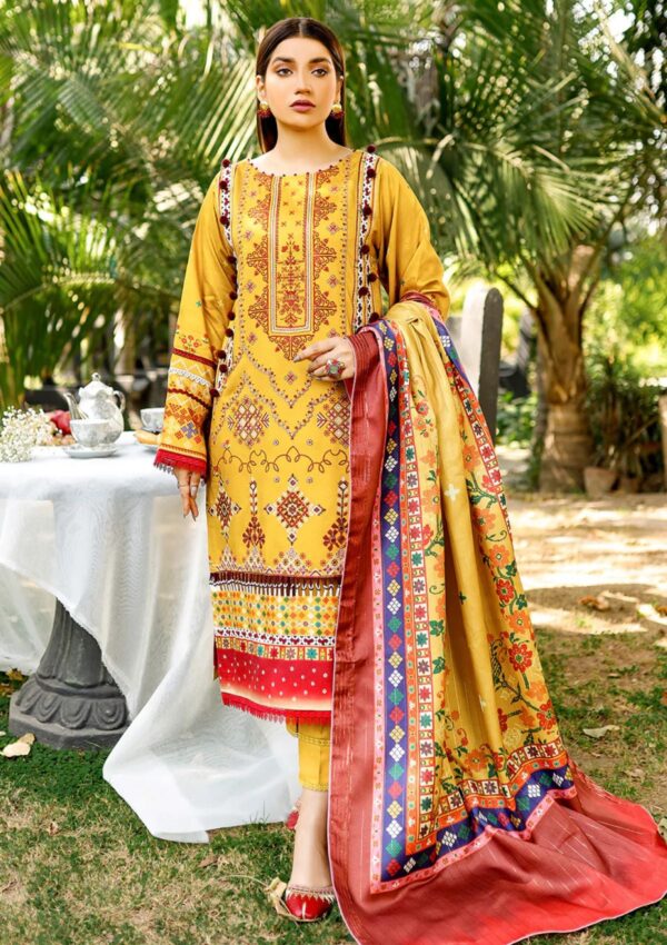 Bin Ilyas Maya Jahan D 763 A Winter Collection