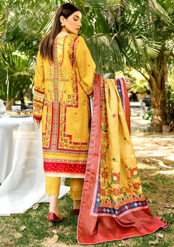 Bin Ilyas Maya Jahan D 763 A Winter Collection