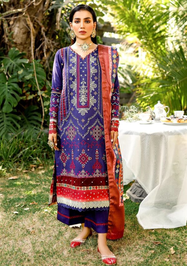 Bin Ilyas Maya Jahan D 763 B Winter Collection