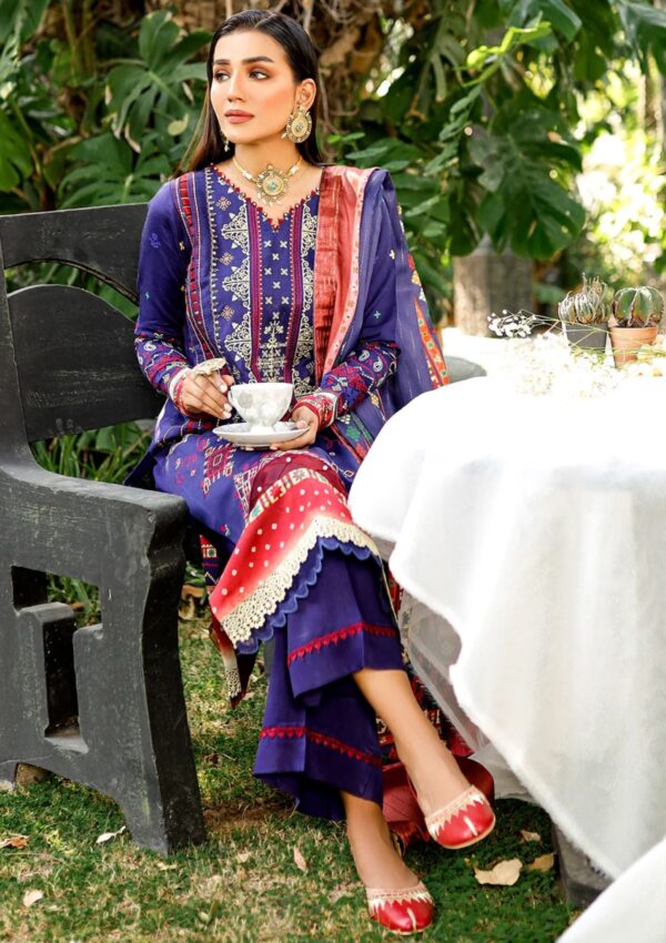 Bin Ilyas Maya Jahan D 763 B Winter Collection