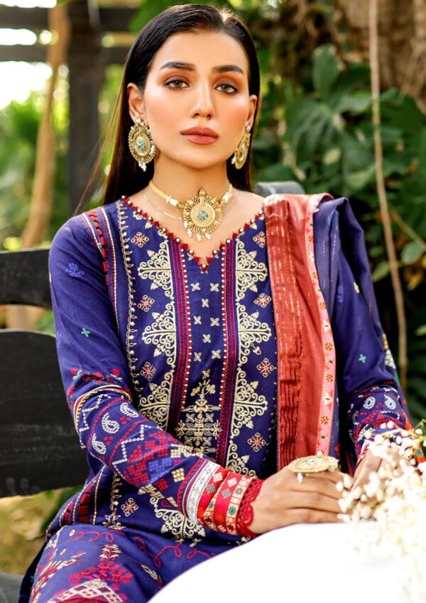 Bin Ilyas Maya Jahan D 763 B Winter Collection